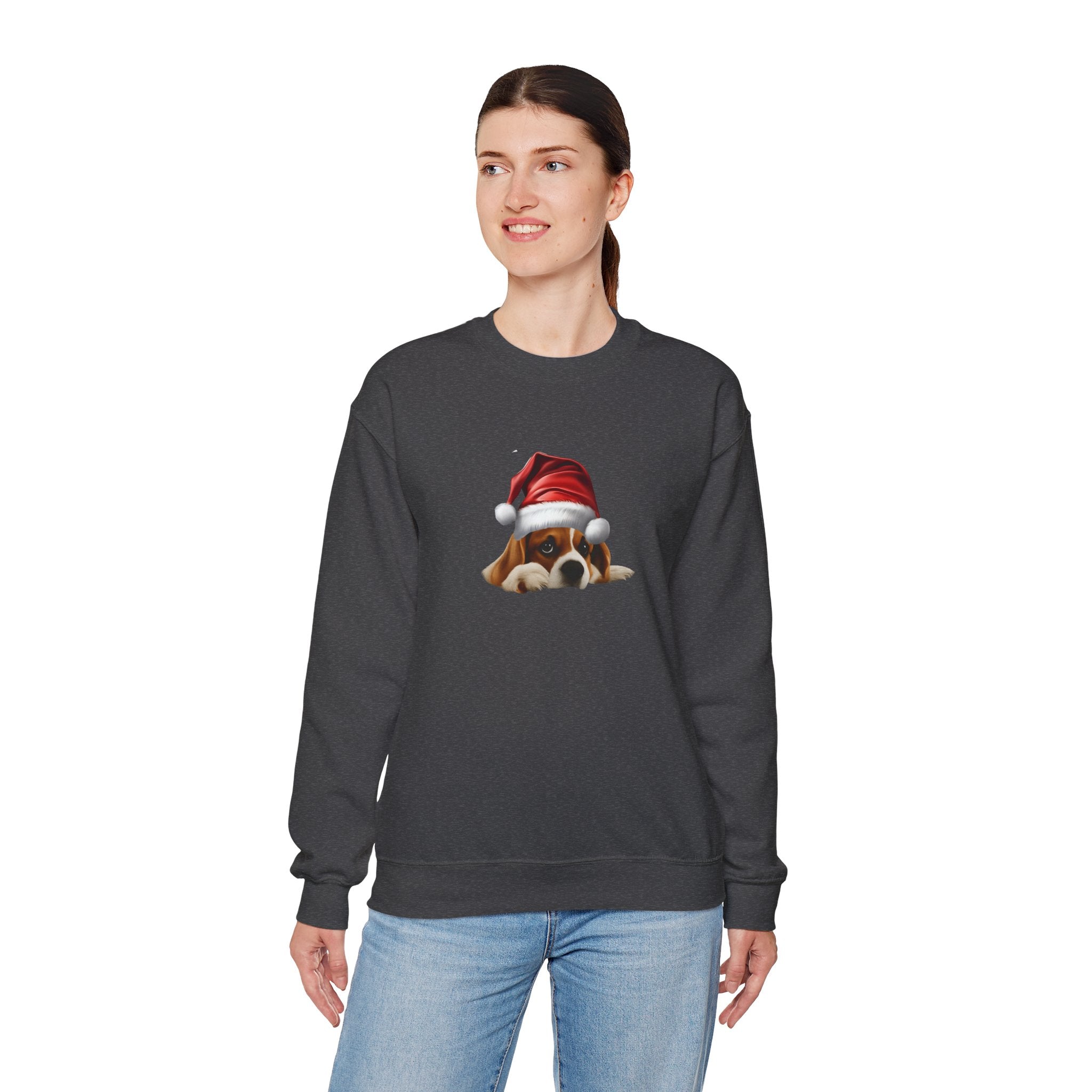 Beagle Claus Sweatshirt 🐾🎅