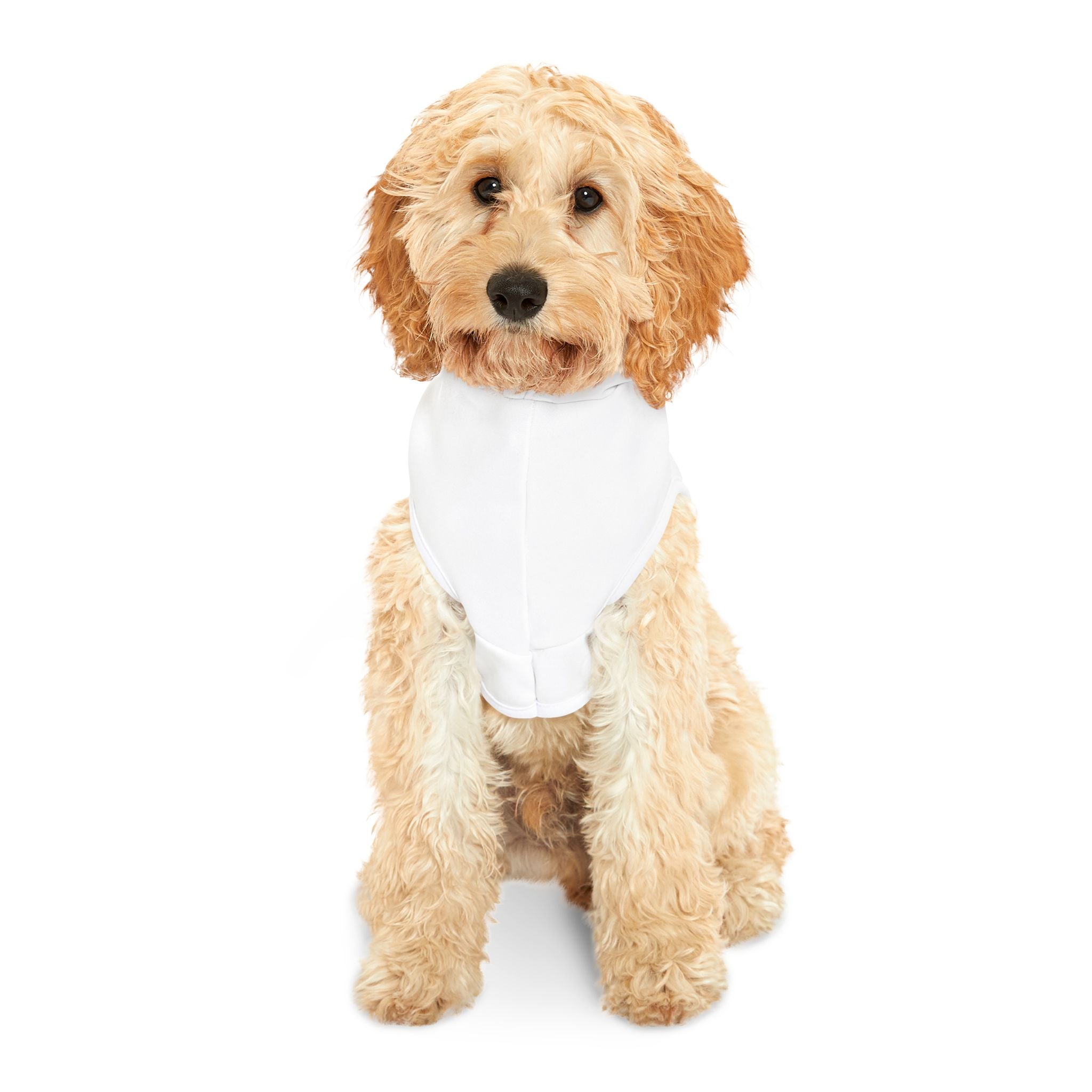Irresistible Cutness Pet Hoodie, Cozy Dog Sweater, Cute Cat Apparel, Winter Pet Clothing, Birthday Dog Gift, Pet Fashion